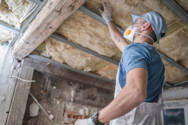 Best Geographic-Specific Insulation Services in Fairview, GA